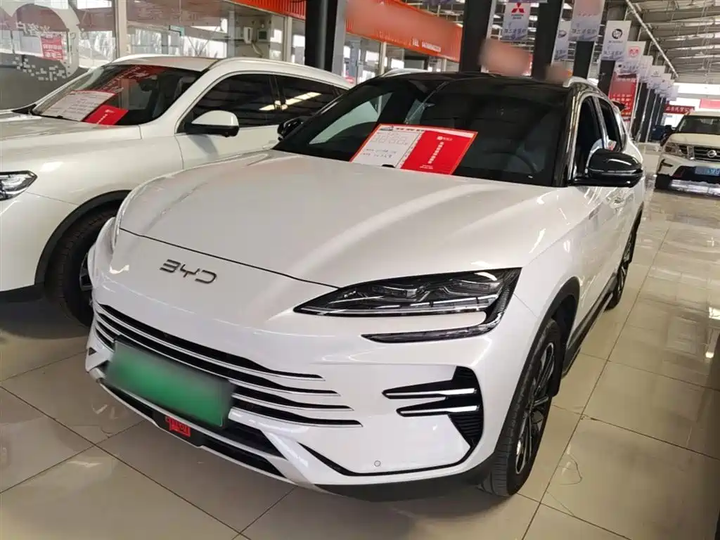 BYD PLUS New Energy 2024