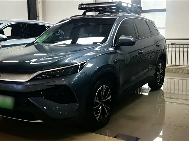 BYD Pro New Energy 2025