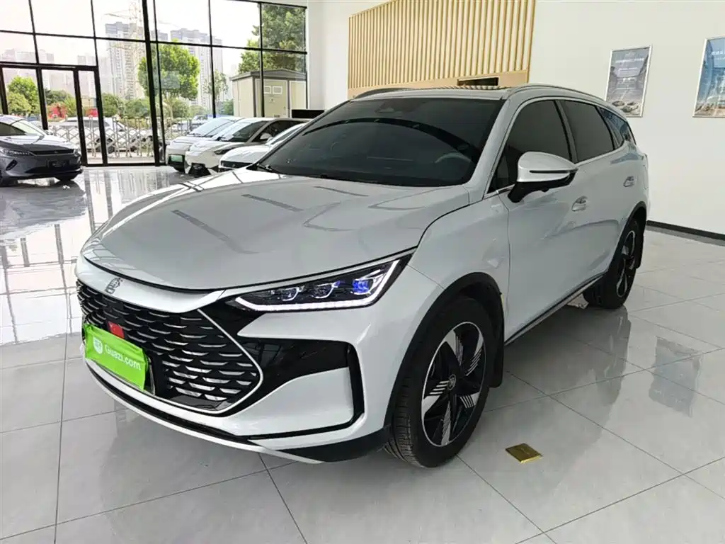 BYD Tang New Energy 2024