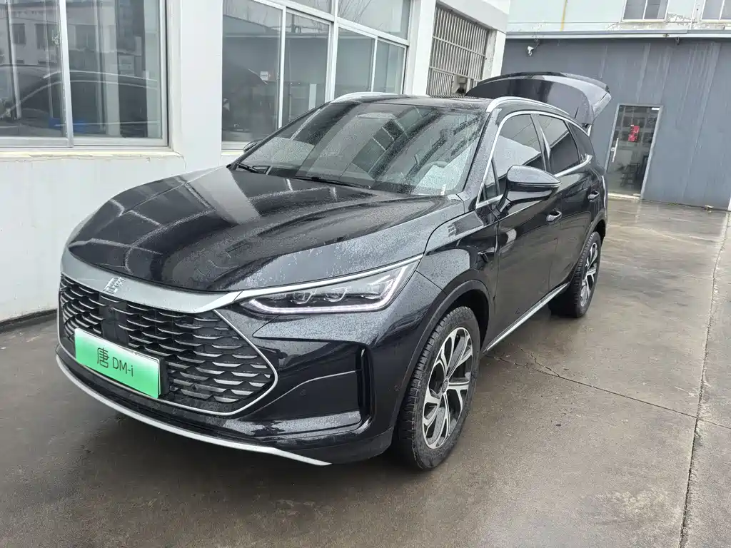 BYD Tang New Energy 2025