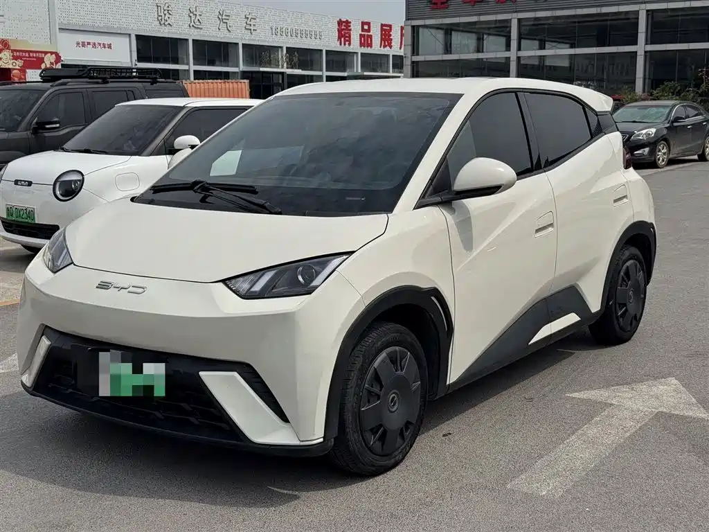 BYD Seagull 2024