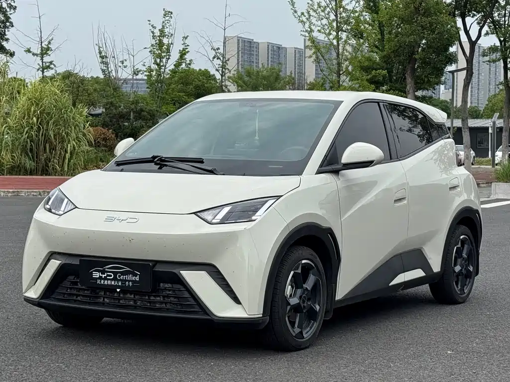 BYD Seagull 2024