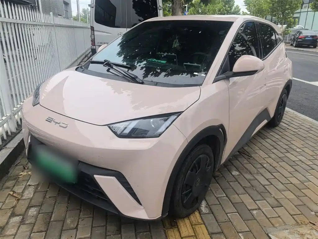 BYD Seagull 2024