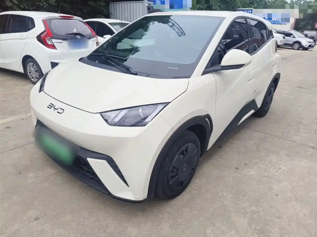 BYD Seagull 2024