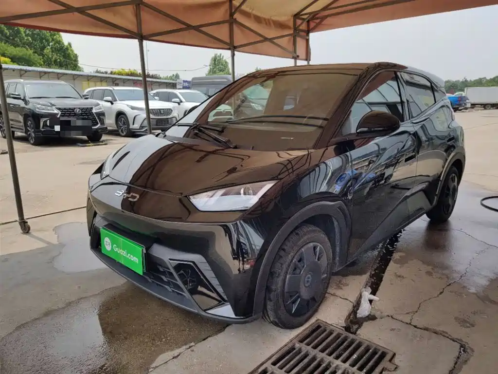 BYD Seagull 2024