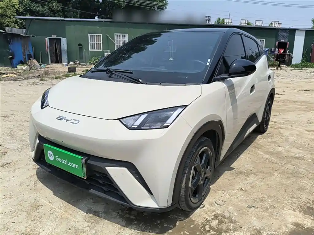 BYD Seagull 2024