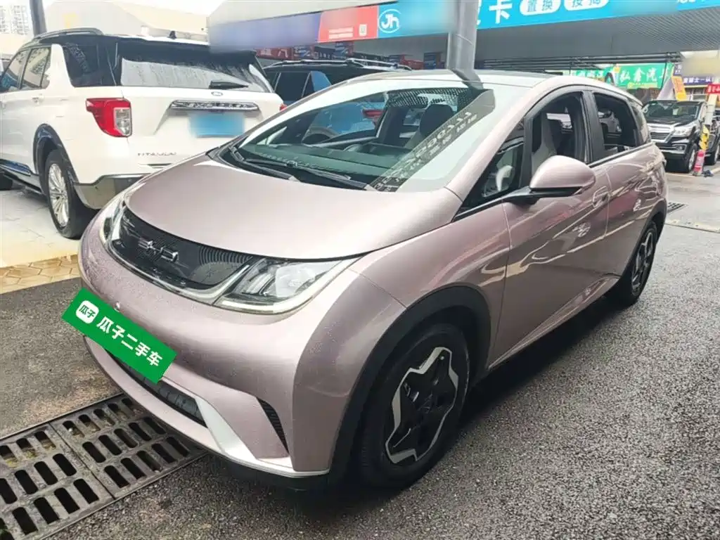 BYD Dolphin 2022