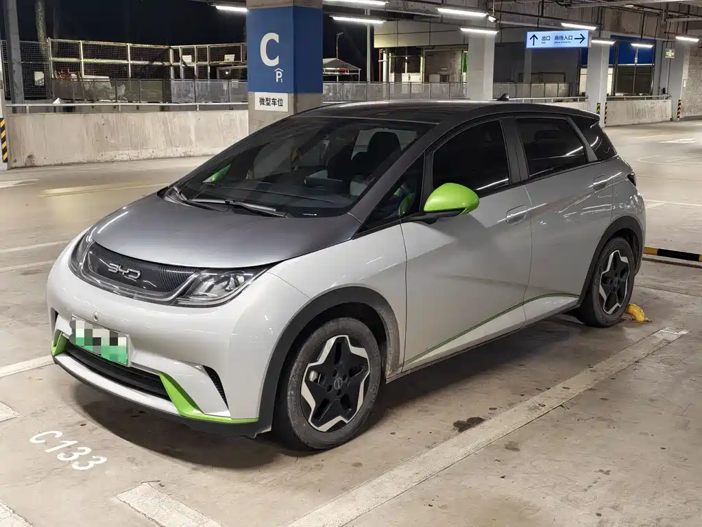 BYD Dolphin 2022