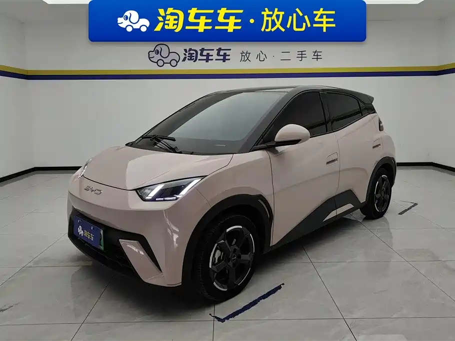 BYD Seagull 2024