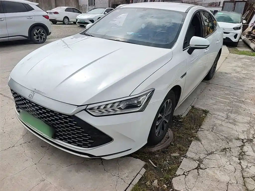 BYD Qin PLUS 2024