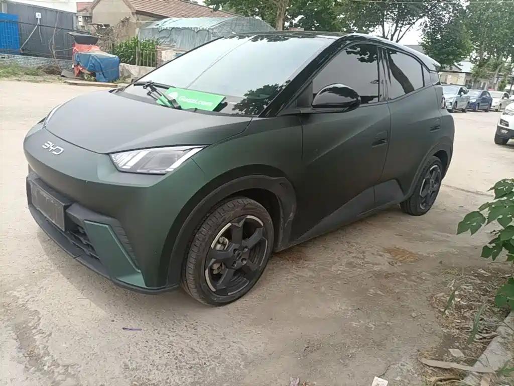 BYD Seagull 2024