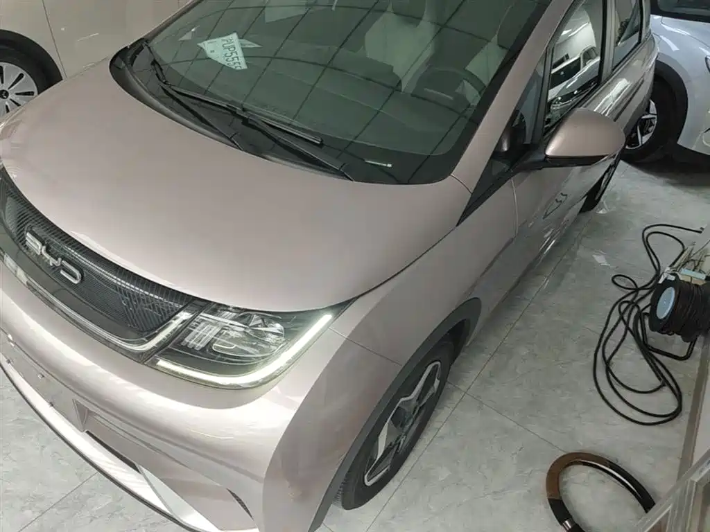 BYD Dolphin 2022