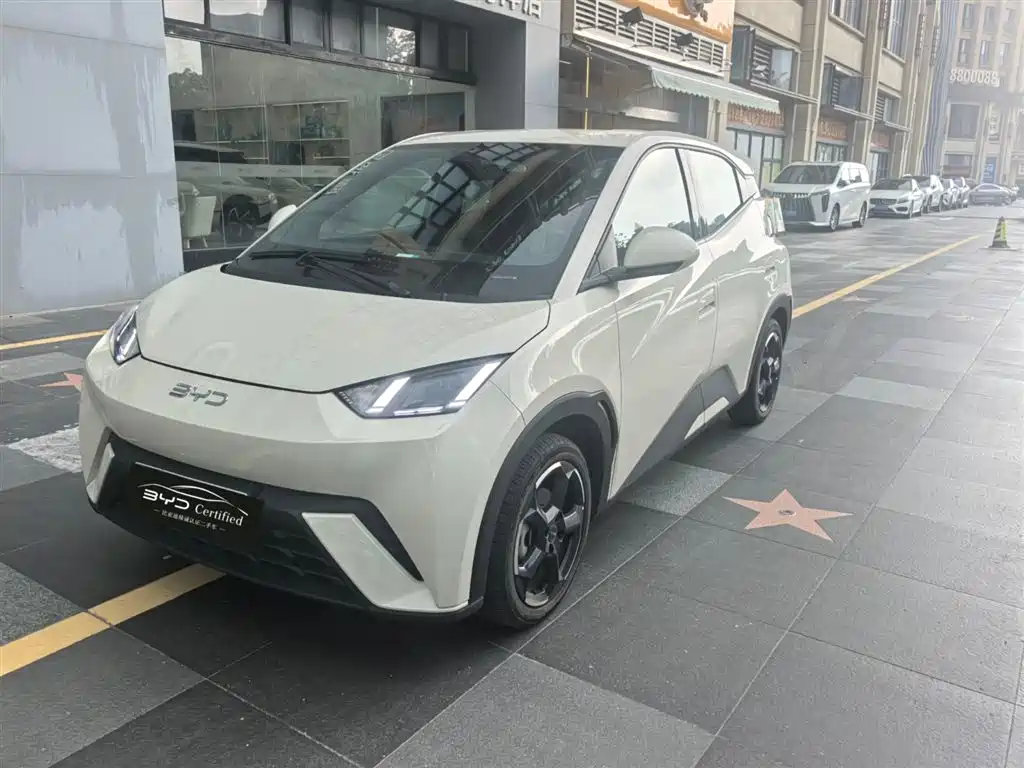 BYD Seagull 2024
