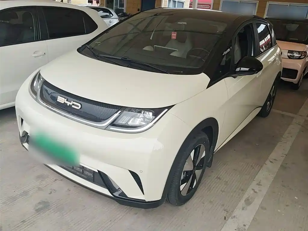 BYD Dolphin 2024