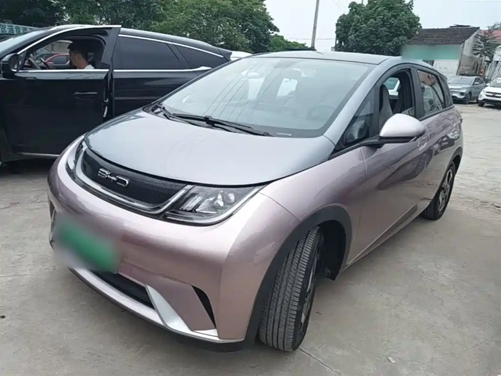 BYD Dolphin 2022