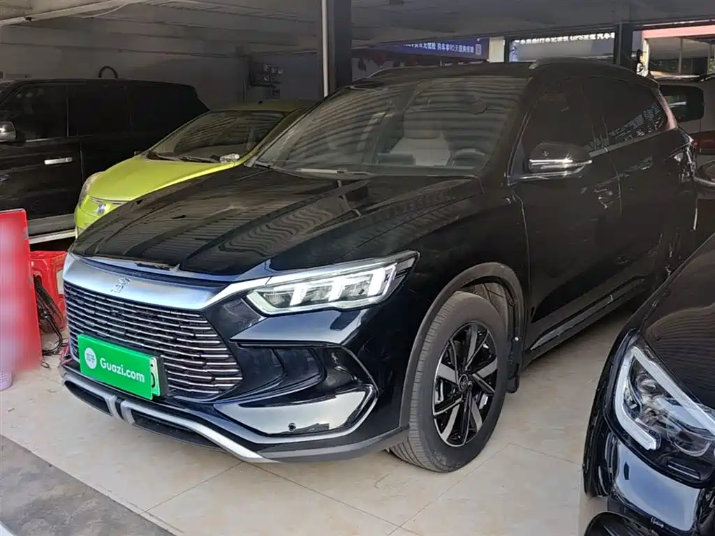 BYD Pro New Energy 2024