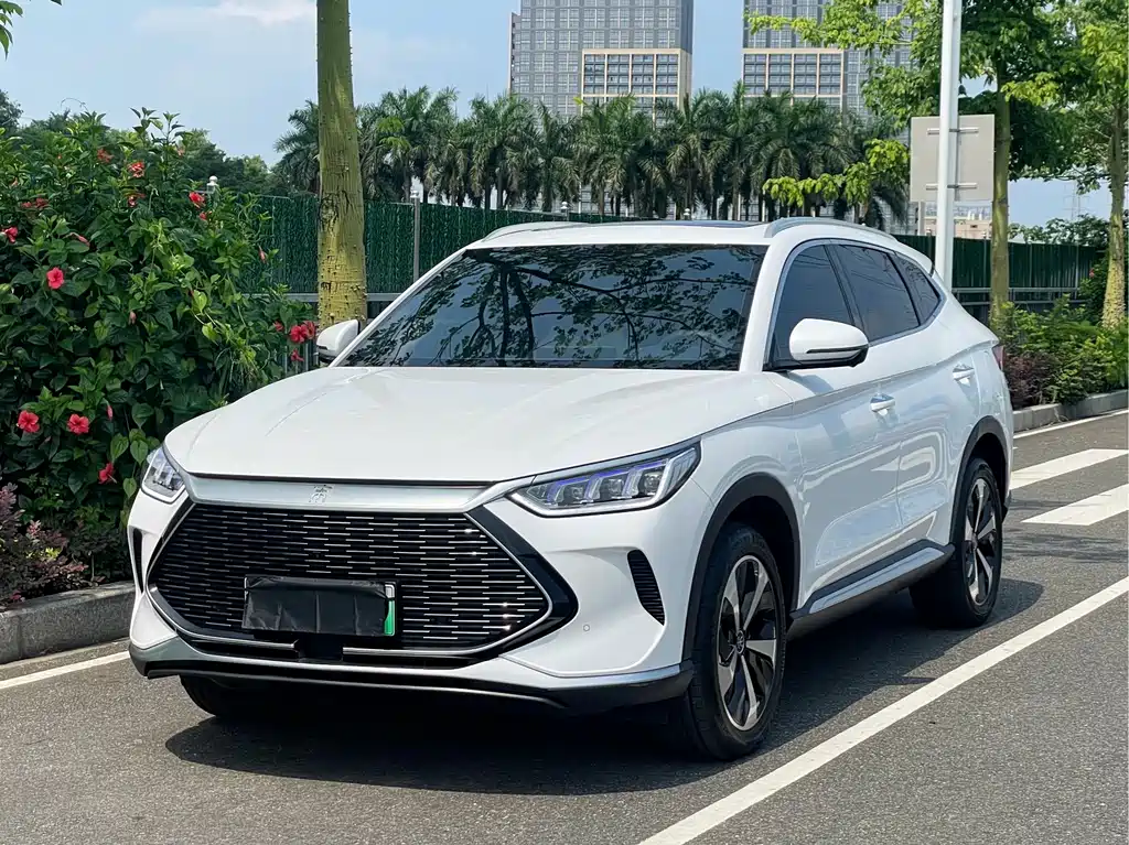 BYD PLUS New Energy 2022