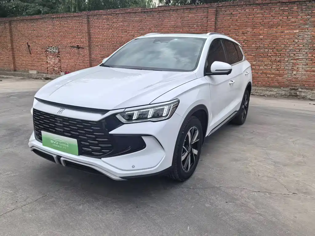 BYD Pro New Energy 2024