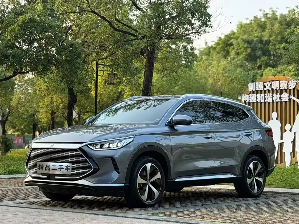 BYD PLUS New Energy 2022