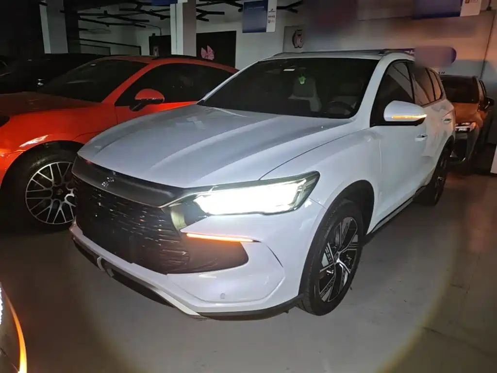 BYD Pro New Energy 2024