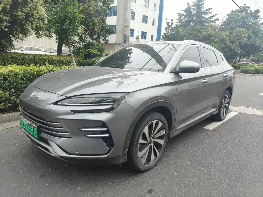 BYD PLUS New Energy 2024