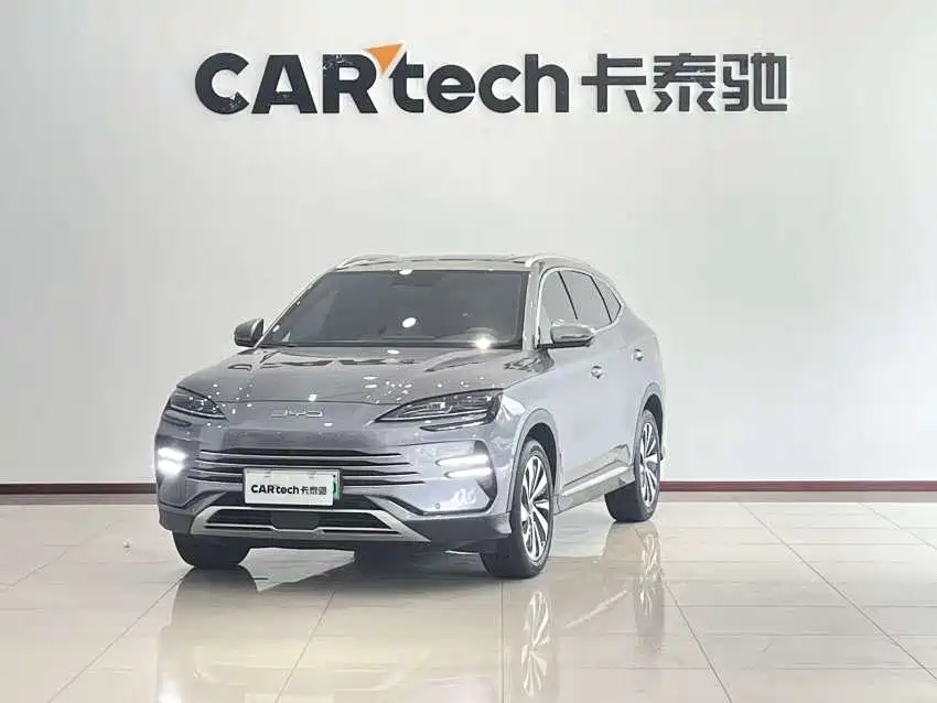 BYD PLUS New Energy 2024