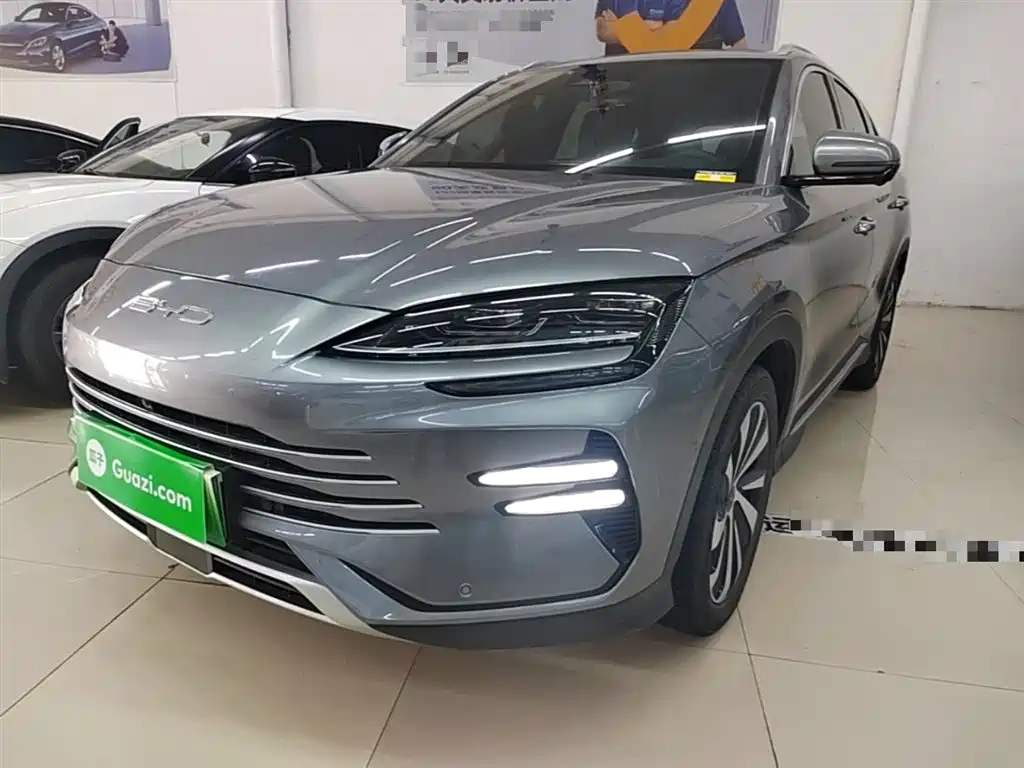 BYD PLUS New Energy 2024