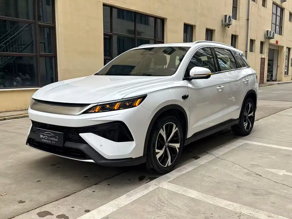 BYD Pro New Energy 2025