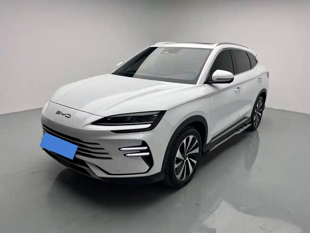 BYD PLUS New Energy 2024