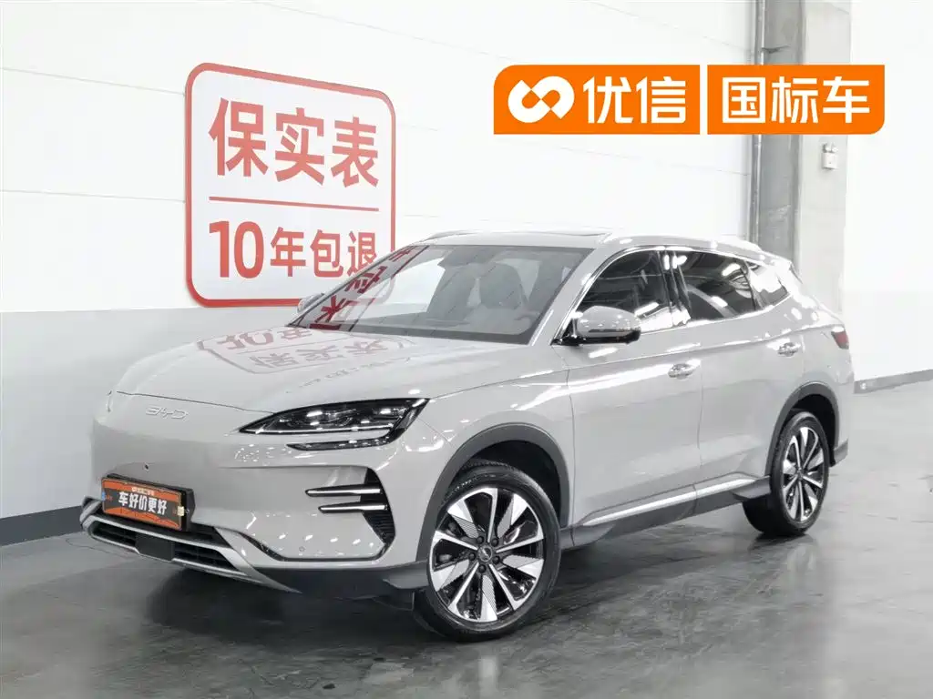 BYD PLUS New Energy 2024