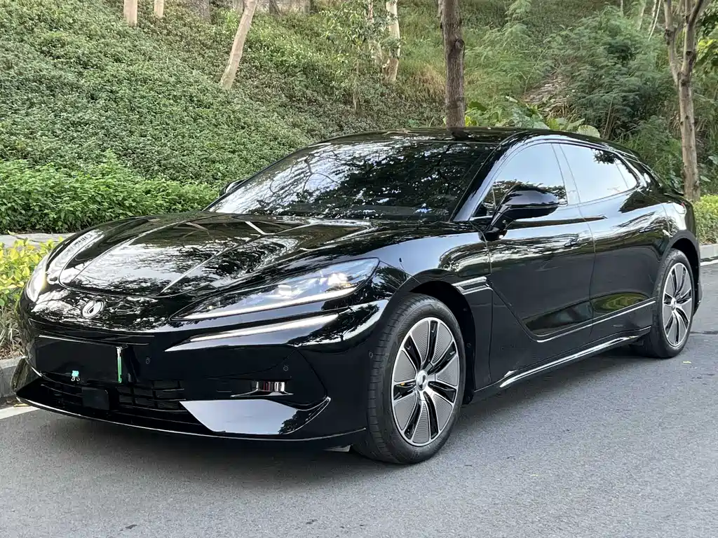 Denza Denza Z9GT 2024