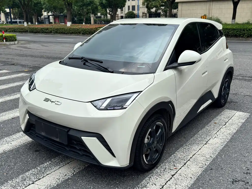BYD Seagull 2024