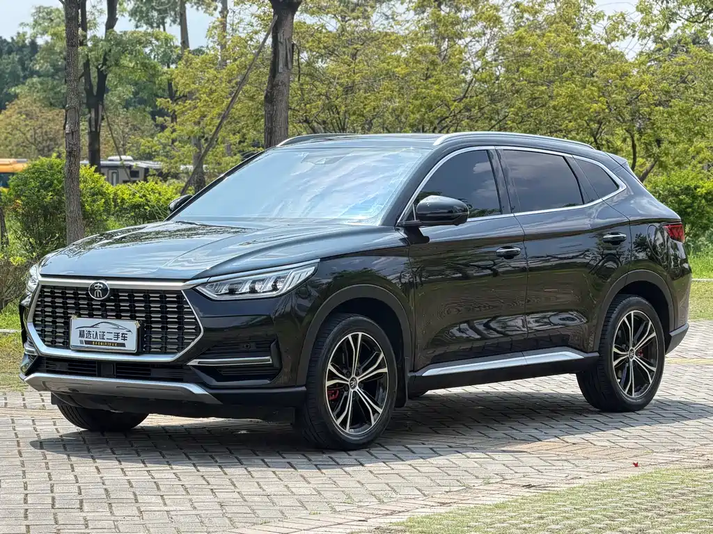 BYD PLUS 2021