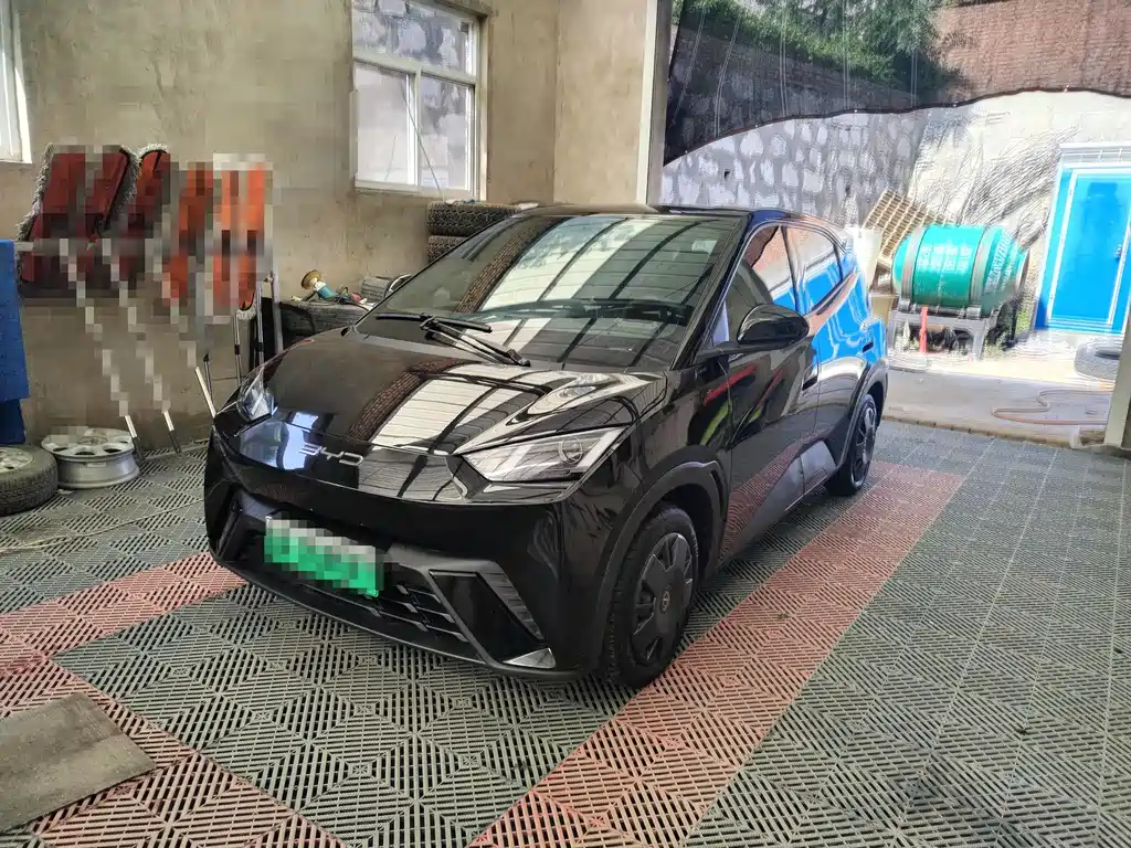 BYD Seagull 2024
