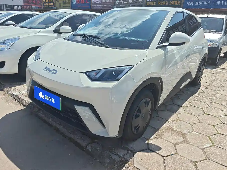 BYD Seagull 2024