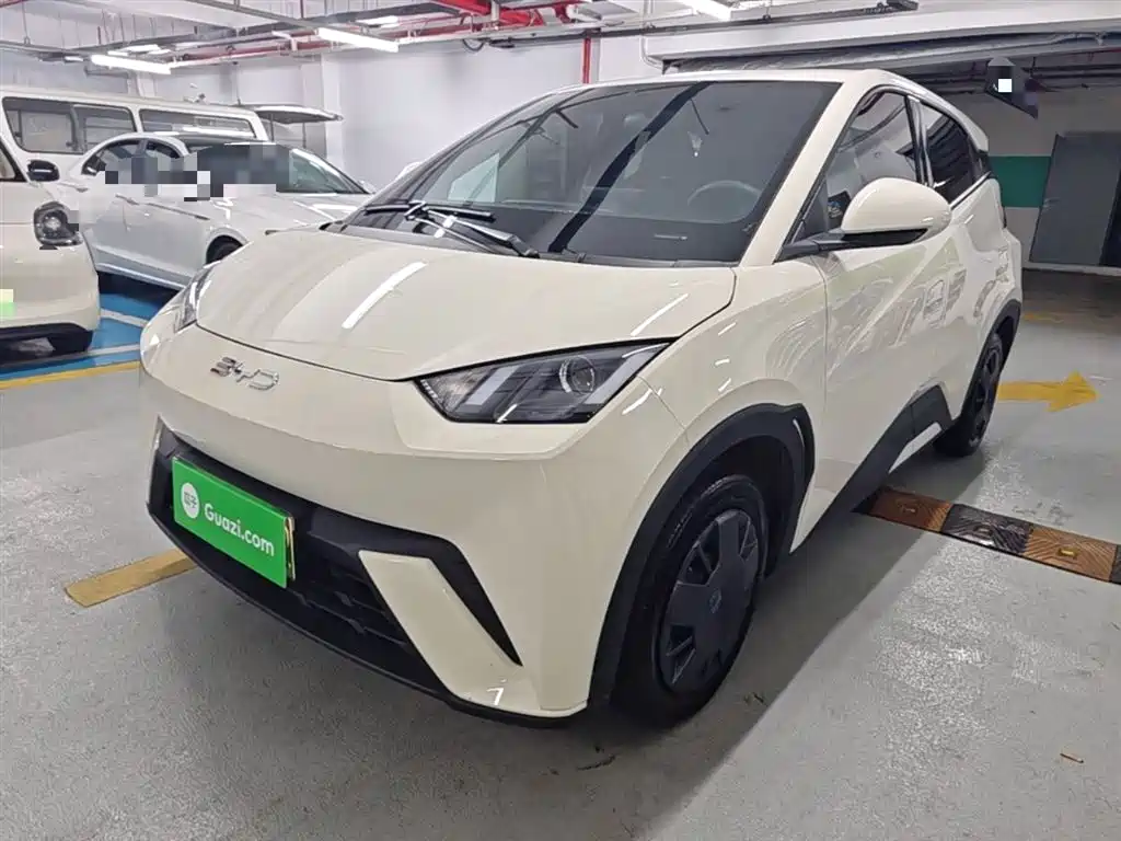 BYD Seagull 2024