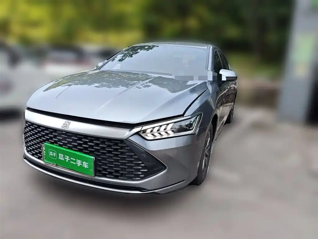 BYD Qin PLUS 2024