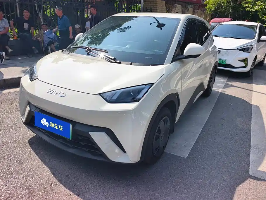 BYD Seagull 2024