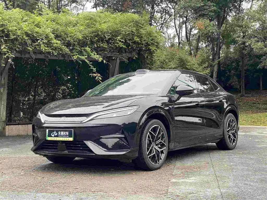 BYD L EV 2025