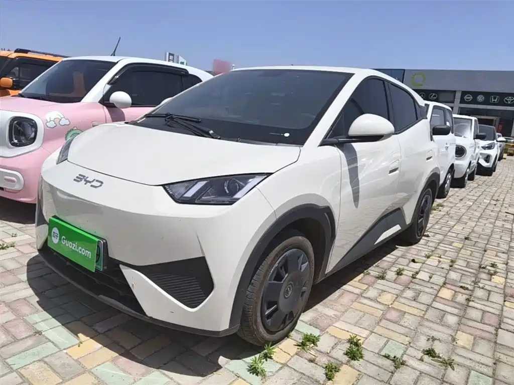 BYD Seagull 2025