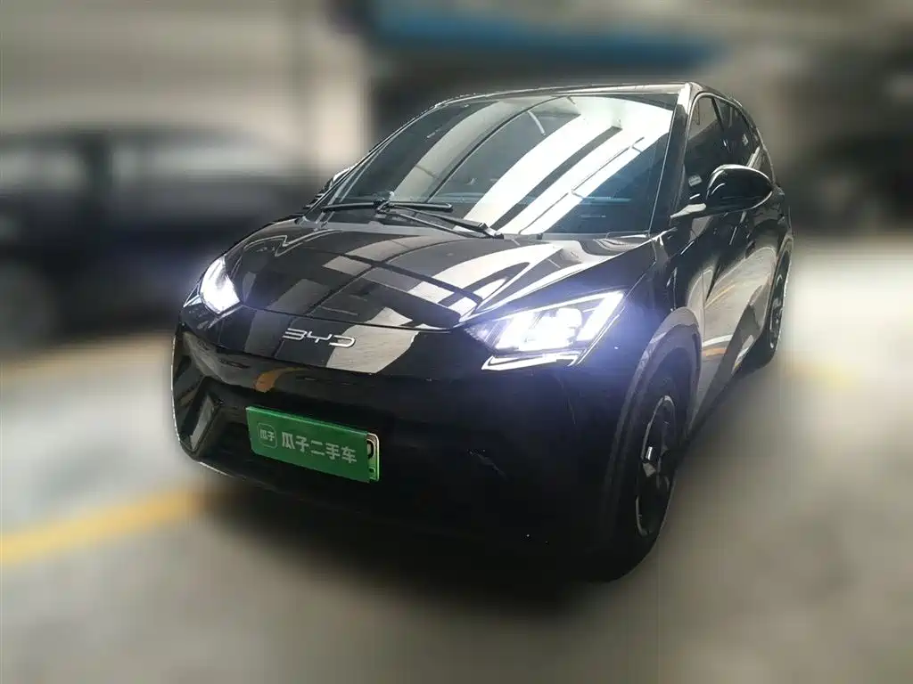 BYD Seagull 2024