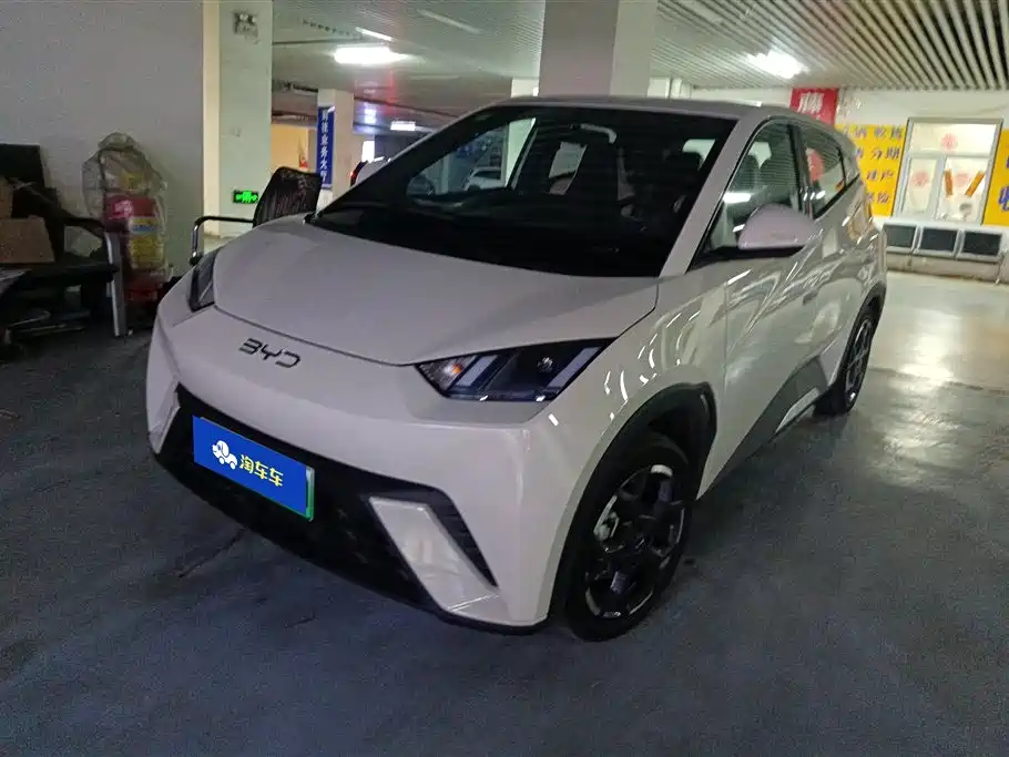BYD Seagull 2024