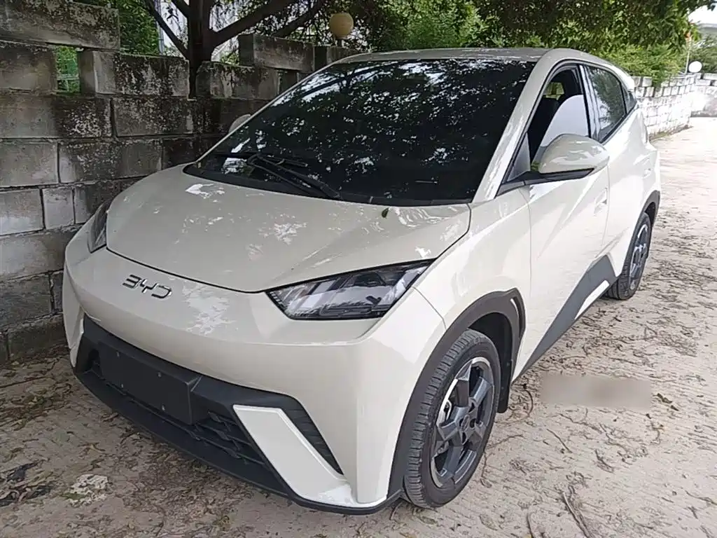 BYD Seagull 2024