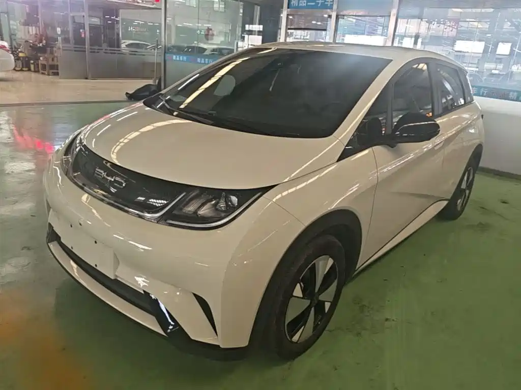 BYD Dolphin 2024