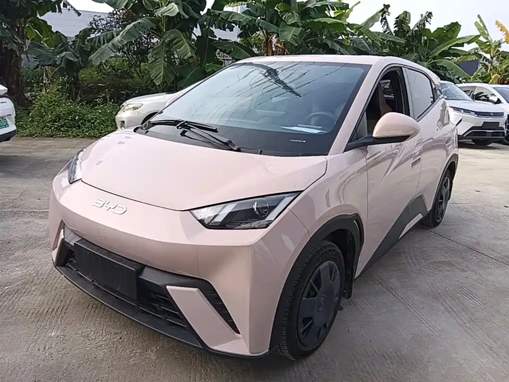 BYD Seagull 2024