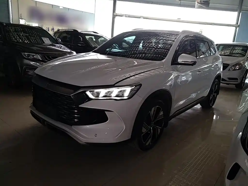 BYD Pro New Energy 2023