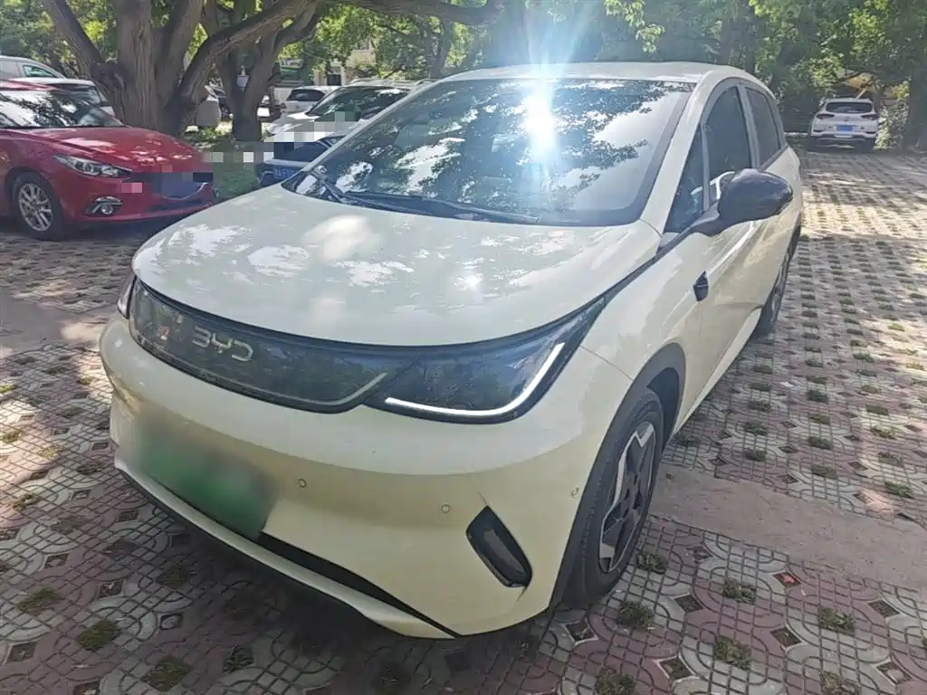 BYD Dolphin 2025