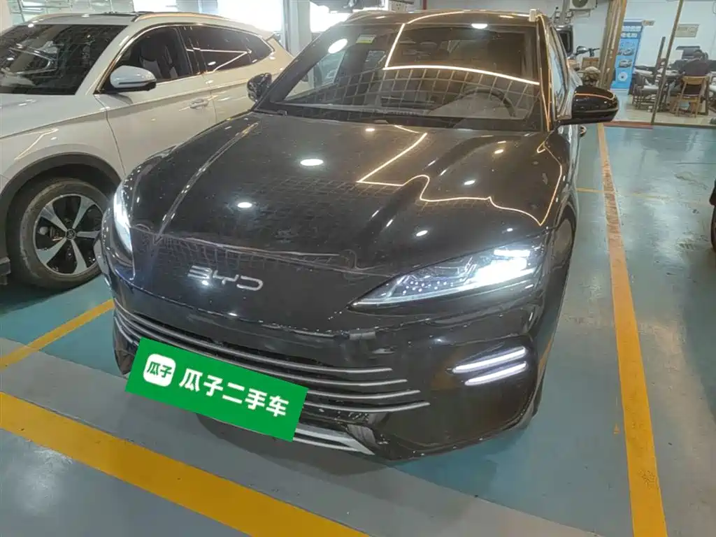 BYD PLUS New Energy 2024