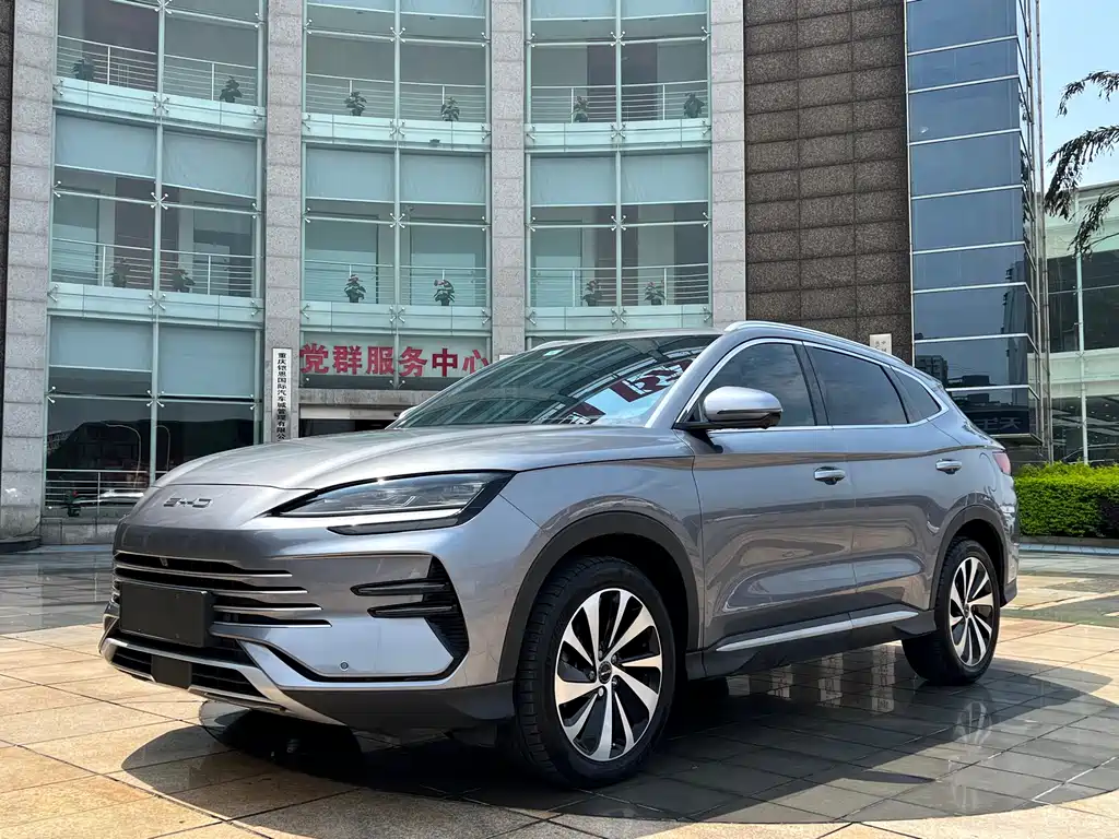 BYD PLUS New Energy 2024