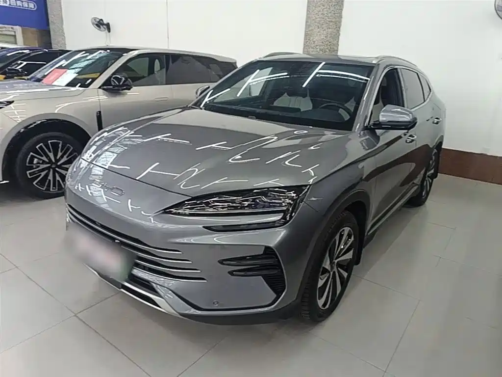 BYD PLUS New Energy 2024